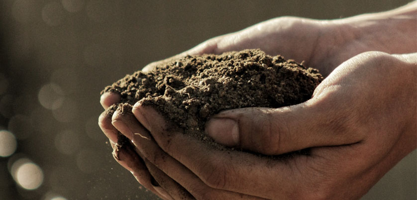 G8全自動石墨消解儀對土壤中Cd、Cr、Cu、Pb、Ni、Zn金屬消解方案