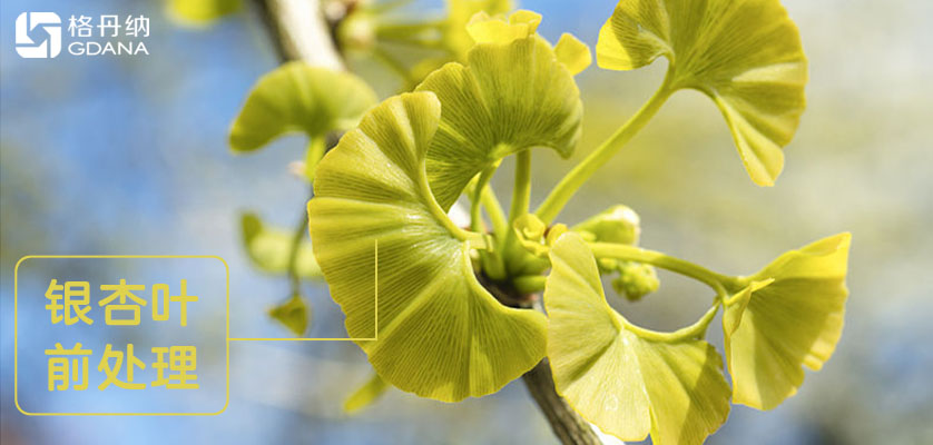 D6智能石墨消解儀對銀杏葉提取物前處理消解方法