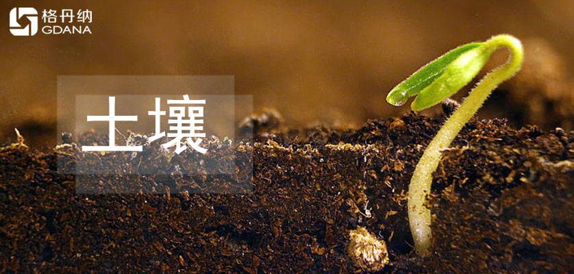 全自動石墨消解儀解決人力繁瑣消解土壤研究