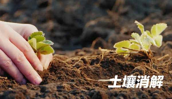 G8全自動(dòng)石墨消解儀消解土壤鉛、鎘元素實(shí)例