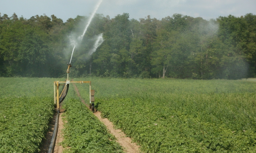高標(biāo)準(zhǔn)農(nóng)田建設(shè)有了新標(biāo)準(zhǔn) 高標(biāo)準(zhǔn)農(nóng)田建設(shè)有了新標(biāo)準(zhǔn)