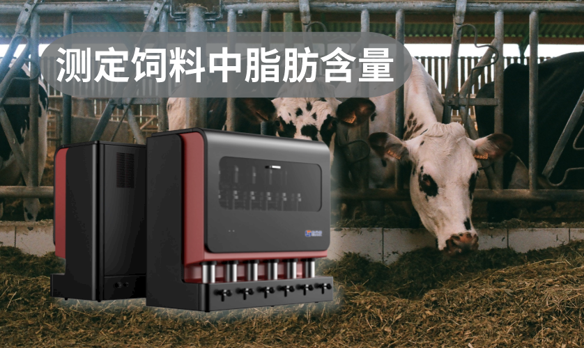 全自動索氏脂肪測定儀測定飼料中脂肪含量 全自動索氏脂肪測定儀測定飼料中脂肪含量