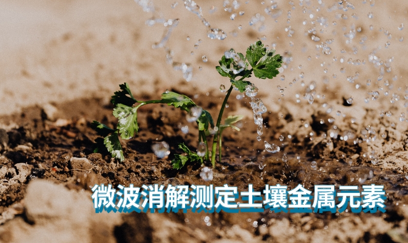 微波消解測(cè)定土壤金屬元素