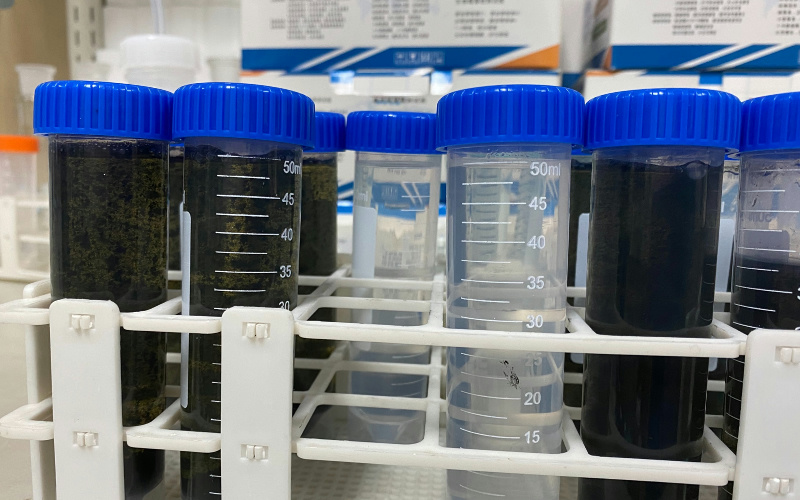 微波消解后趕酸